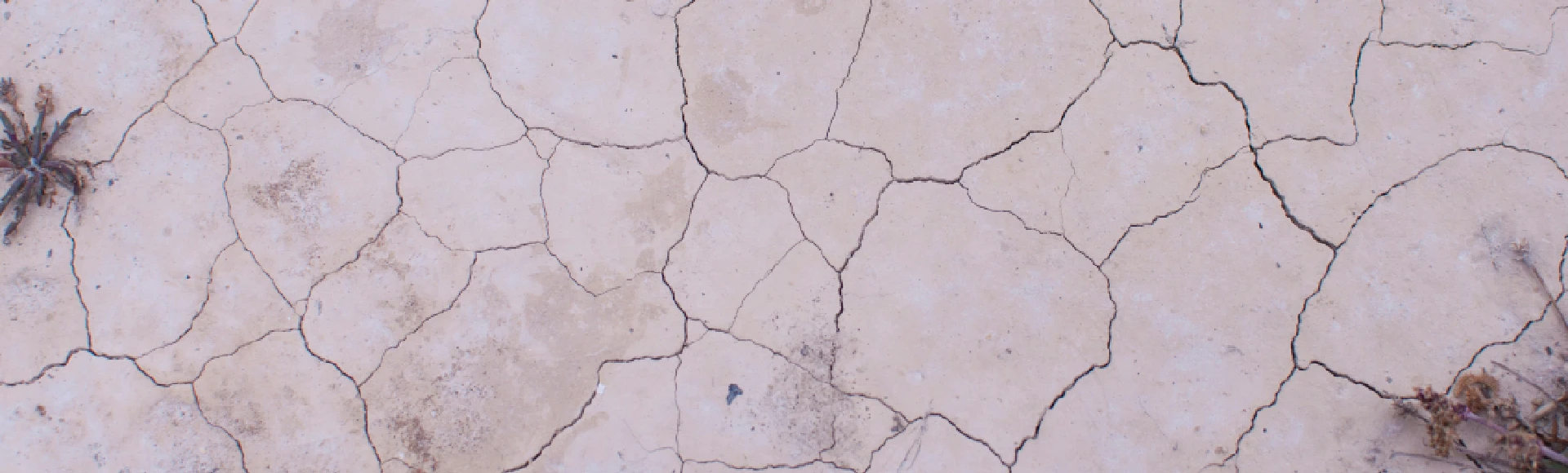 Sucha, swędząca i zaczerwienia skóra to najczęstsze objawy AZS. Dostępne w Aptece Centralnej dermokosmetyki i emolienty złagodzą zmiany skórne i pomogą zapobiec nawrotom choroby. Sucha, swędząca i zaczerwienia skóra to najczęstsze objawy AZS. Dostępne w Aptece Centralnej dermokosmetyki i emolienty złagodzą zmiany skórne i pomogą zapobiec nawrotom choroby.