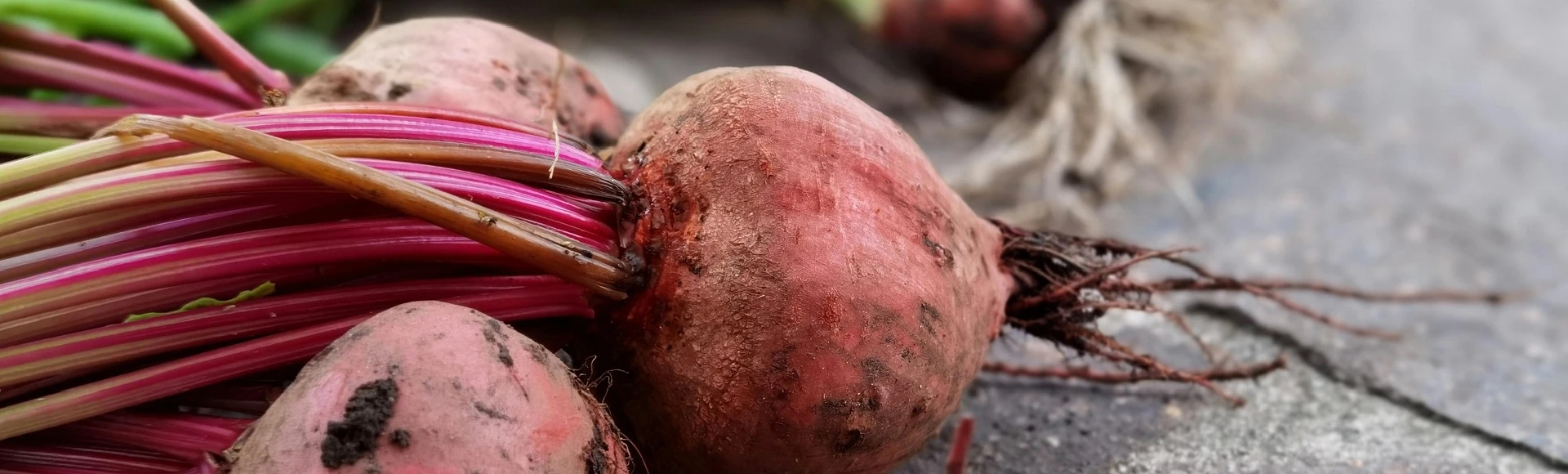 Soki z buraków i suplementy diety z burakiem znajdziesz w aptece internetowej Centralna.pl