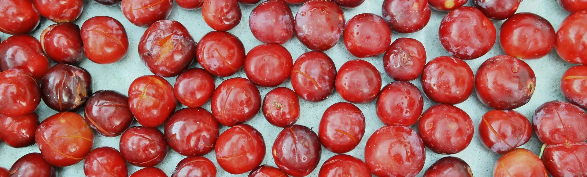 Suplementy diety ze guaraną znajdziesz w aptece Centralna.pl