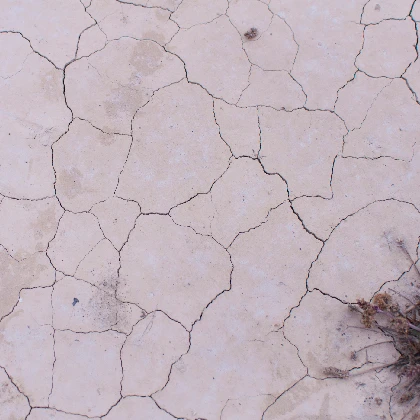 Atopowe Zapalenie Skóry co to, jakie daje objawy, i jakie są sposoby łagodzenia AZS? Atopowe Zapalenie Skóry co to, jakie daje objawy, i jakie są sposoby łagodzenia AZS?