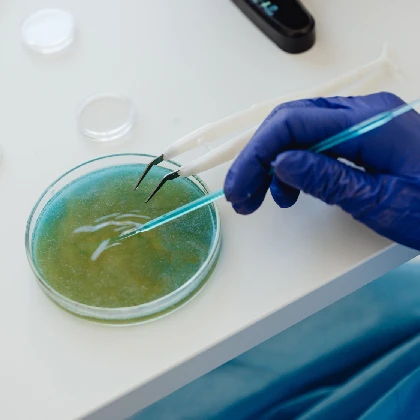 Cholera – objawy, diagnozowanie i leczenie