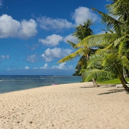 Choroby tropikalne – rodzaje, sposoby leczenia i profilaktyka Choroby tropikalne – rodzaje, sposoby leczenia i profilaktyka