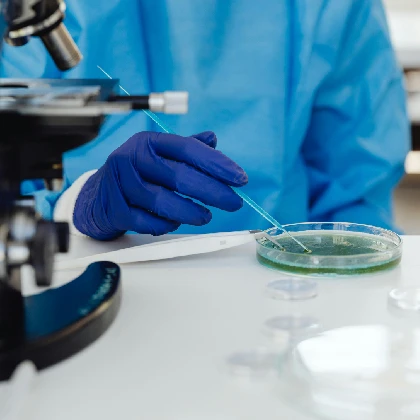 Listerioza – objawy, diagnostyka i leczenie