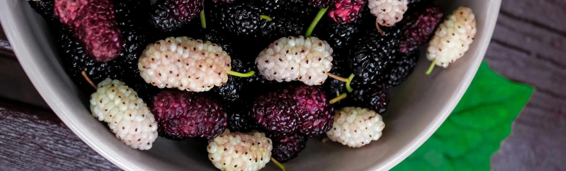 Herbatę z morwy białej i suplementy diety z morwą znajdziesz w aptece Centralna.pl