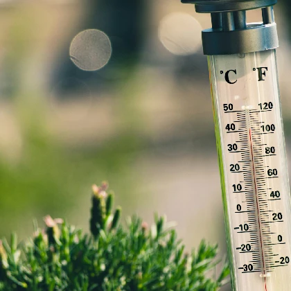 Udar słoneczny - objawy, postępowanie i zapobieganie Udar słoneczny - objawy, postępowanie i zapobieganie