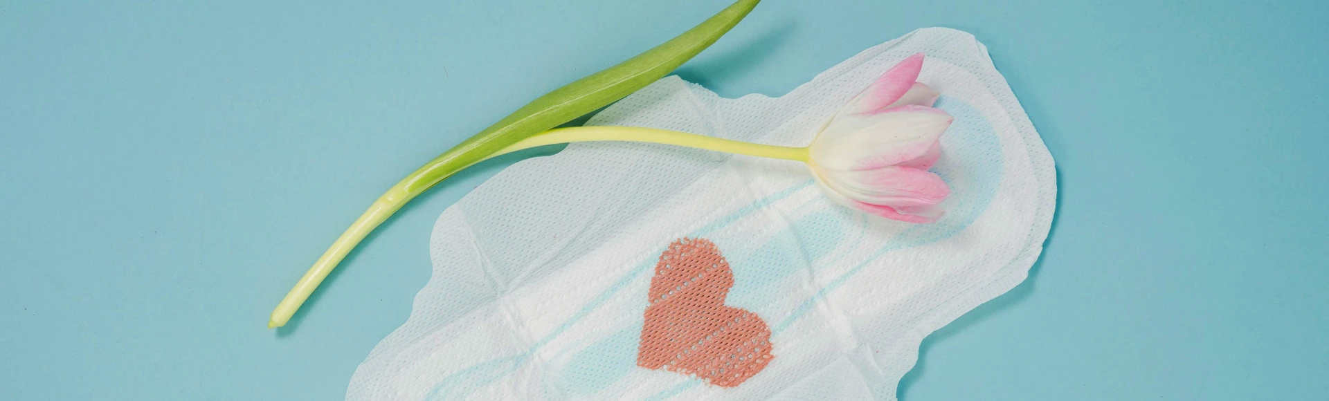 Długie i obfite miesiączki mogą być objawem różnych schorzeń ginekologicznych. Niezbędne podczas okresu produkty higieniczne znajdziesz w internetowej Aptece Centralnej. Długie i obfite miesiączki mogą być objawem różnych schorzeń ginekologicznych. Niezbędne podczas okresu produkty higieniczne znajdziesz w internetowej Aptece Centralnej.