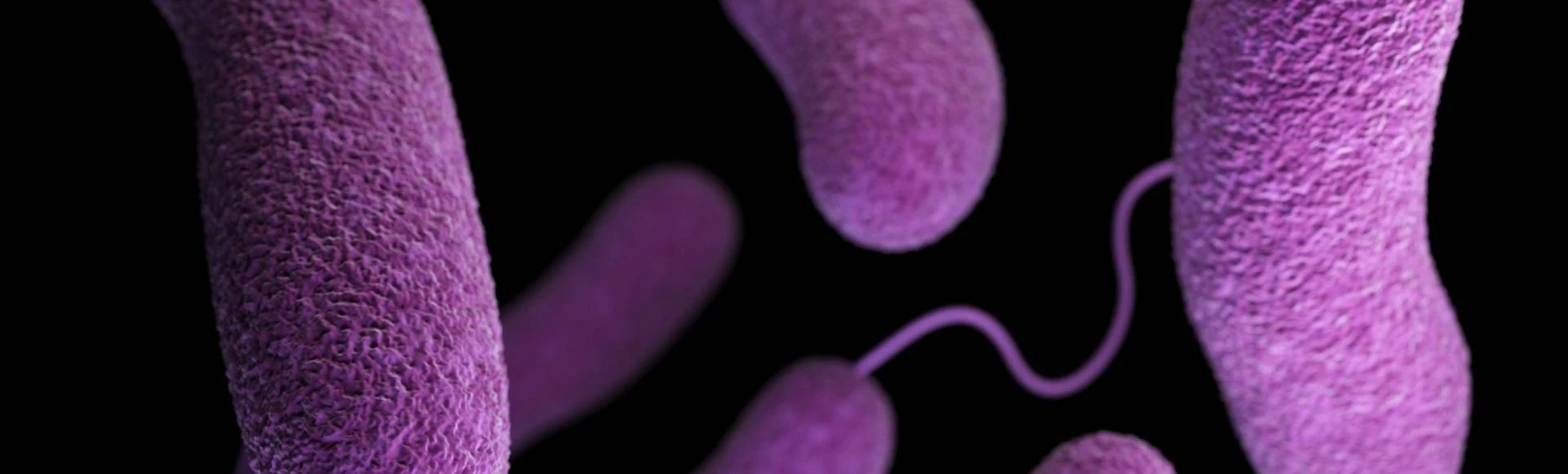 Preparaty na biegunkę, elektrolity i probiotyki wspierające organizm podczas zakażeń przewodu pokarmowego znajdziesz w internetowej Aptece Centralnej.