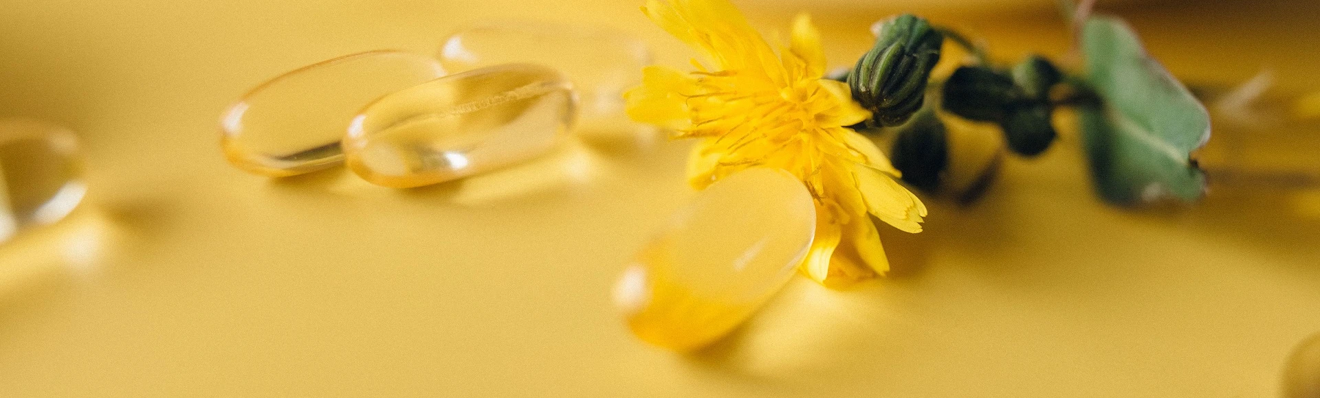 Suplementy diety zawierające sterole roślinne wspierające utrzymanie prawidłowego poziomu cholesterolu znajdziesz w internetowej aptece Centralna.pl