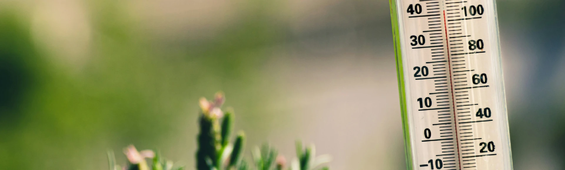 Wysoka temperatura powietrza i ostre słońce mogą być przyczyną niebezpiecznego dla zdrowia udaru słonecznego. Elektrolity wspierające nawodnienie przegrzanego organizmu  znajdziesz w internetowej Aptece Centralnej. Wysoka temperatura powietrza i ostre słońce mogą być przyczyną niebezpiecznego dla zdrowia udaru słonecznego. Elektrolity wspierające nawodnienie przegrzanego organizmu  znajdziesz w internetowej Aptece Centralnej.