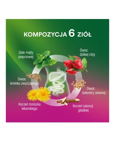 Verdin Fix Slim, 20 saszetek - Kompozycja 6 ziół, która wspomaga trawienie i prawidłową wagę - 2