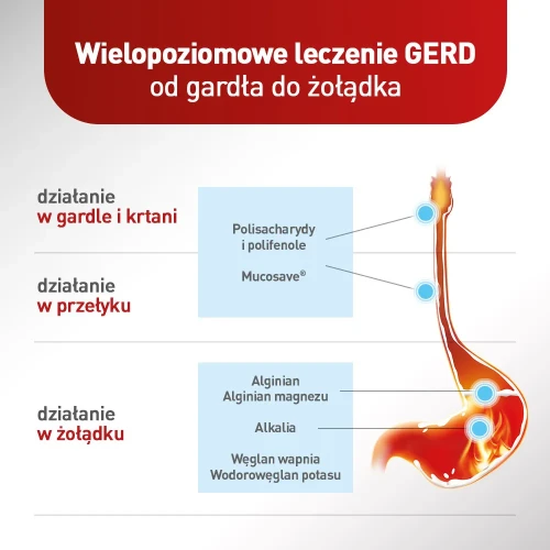 Alugastrin Mucoref, 14 saszetek -  Z ekstraktami roślinnymi, które wspomagają leczenie leczeniu refluksu  - 3