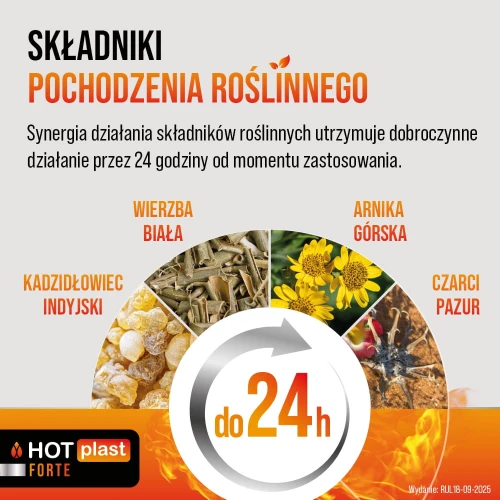 Hot Plast Forte Plaster rozgrzewający 9 x 14 cm, 1 sztuka - Zapewnia intensywne rozgrzewanie mięśni i stawów - 2