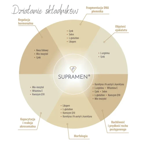Supramen, 120 kapsułek - Podwójne źródło L-karnityny, oprawia jakość nasienia - 3