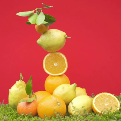 Roger & Gallet Bois D'Orange Well-Being krem do rąk, 30 ml - Delikatnie odżywia i chronią skórę rąk - 2