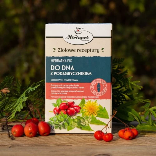 Herbatka Fix Do Dna z podagrycznikiem, 20 saszetek - Kompozycja ziół wspiera funkcjonowanie stawów i układu moczowego - 2