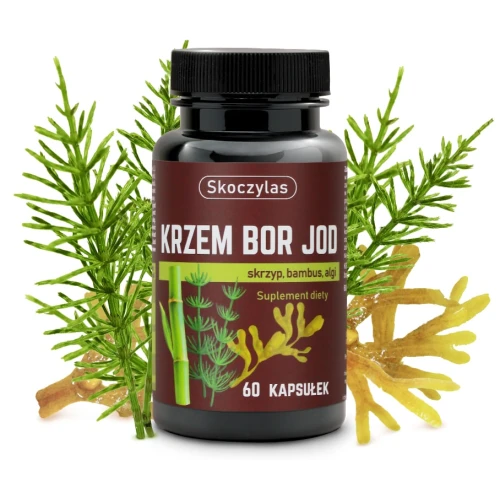 Skoczylas Krzem Bor Jod, 60 kapsułek - Wsparcie organizmu w utrzymaniu zdrowych kości i skóry - 1