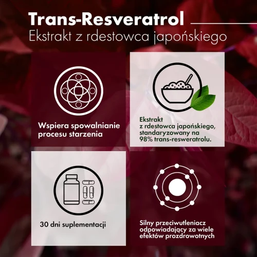 Intenson Resweratrol z Rdestowca Japońskiego, 60 kapsułek - Wsparcie układu odpornościowego - 2