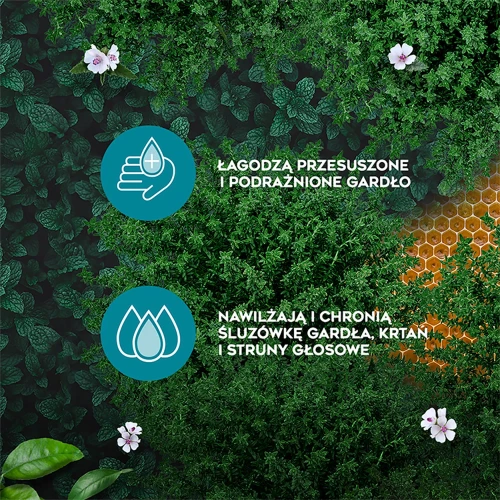 Amolowe na gardło z miodem i witaminą C, 16 pastylek do ssania - Z tymiankiem i korzeniem prawoślazu, nawilżają i koją gardło - 6