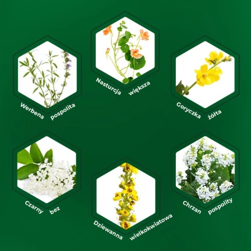 Sinulan Duo Forte, 60 tabletek - Z kompleksem RespiraPRO wspiera drogi oddechowe i układ odpornościowy - 3