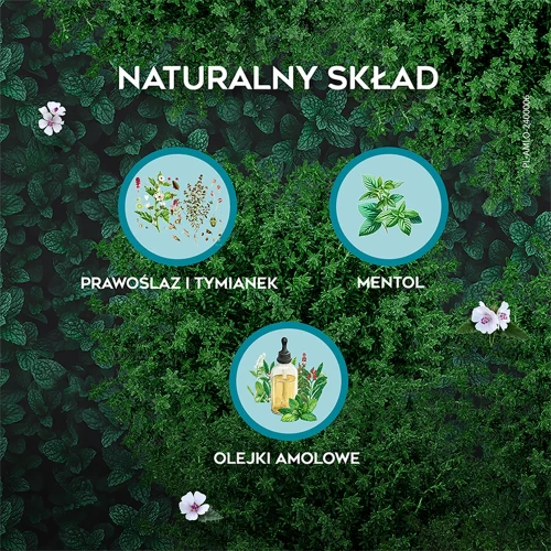 Amolowe na gardło z mentolem, 16 pastylek do ssania  - Suplement diety z tymiankiem, korzeniem prawoślazu  - 4