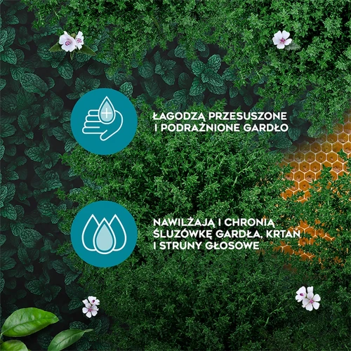 Amolowe na gardło z mentolem, 16 pastylek do ssania  - Suplement diety z tymiankiem, korzeniem prawoślazu  - 5