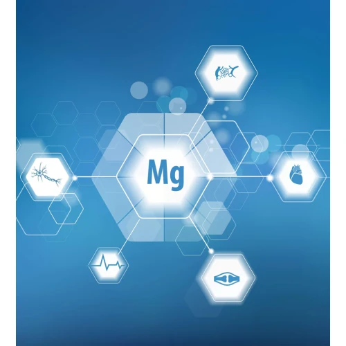 Proton Labs Cytrynian Magnezu + B6, 100 kapsułek - Wysoko przyswajalny magnez i aktywna forma witaminy B6 P-5-P - 1