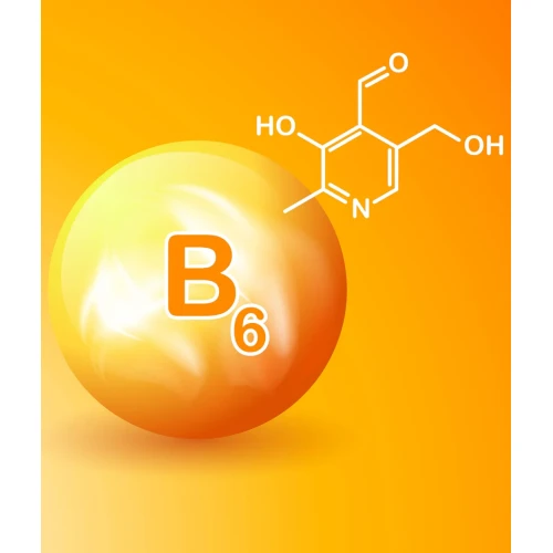 Proton Labs Cytrynian Magnezu + B6, 100 kapsułek - Wysoko przyswajalny magnez i aktywna forma witaminy B6 P-5-P - 2
