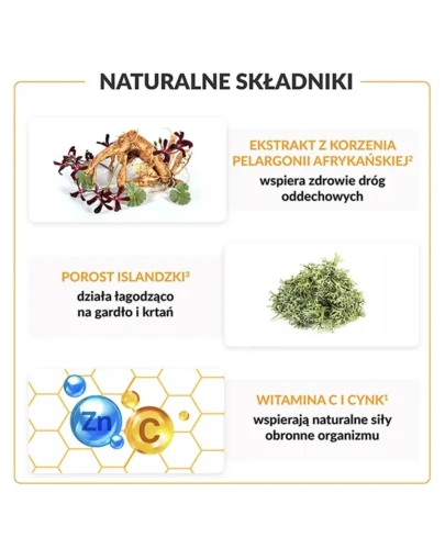 Pelavo Oskrzela, gardło, krtań syrop, 120 ml - Z ekstraktami roślinnymi, witaminą C i cynkiem - 2