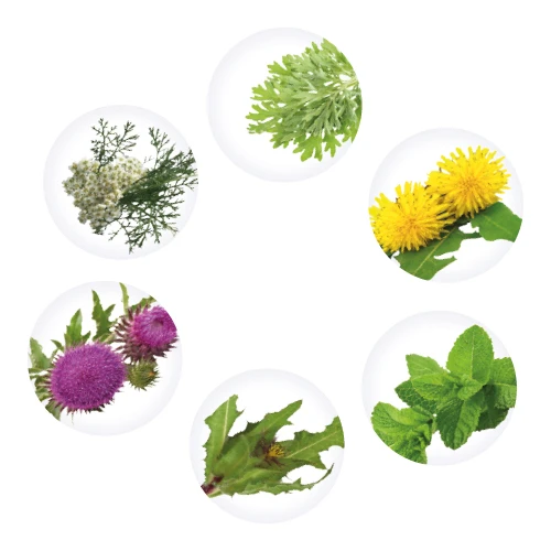 Gastrovit MultiActive, płyn doustny, 100ml - Wyciągi ziołowe na zaburzenia żołądkowo-jelitowe - 4