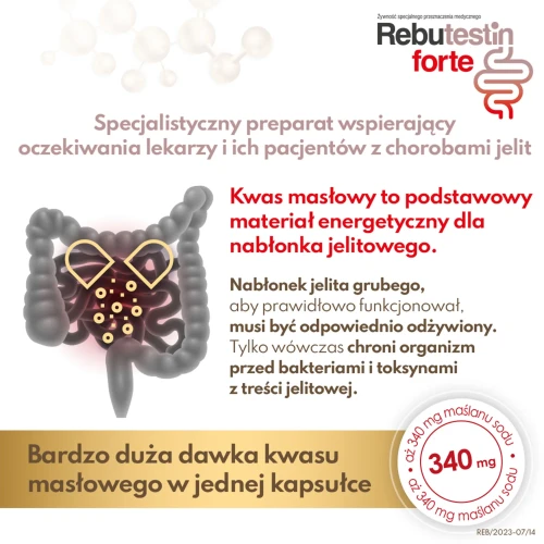 Rebutestin forte, 60 kapsułek - Chroni błonę śluzową jelit i łagodzi objawy jelita drażliwego - 2