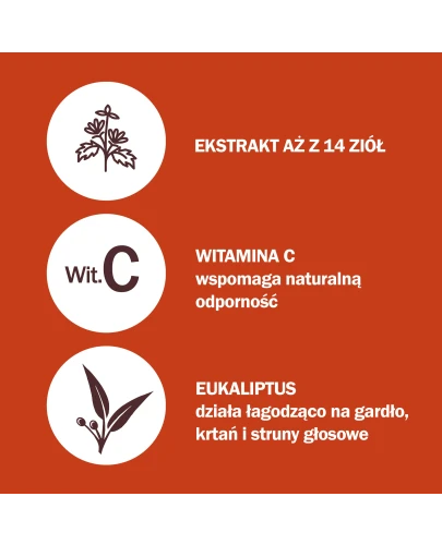 Herbitussin Kaszel i Gardło, 12 pastylek do ssania - Z czarnym bzem i eukaliptusem łagodzące podrażnienia gardła, krtani i strun głosowych - 2
