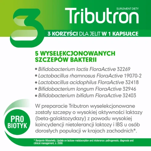 Tributron, 30 kapsułek - Probiotyk z maślanem sodu, który wspiera prawidłową pracę jelit - 3