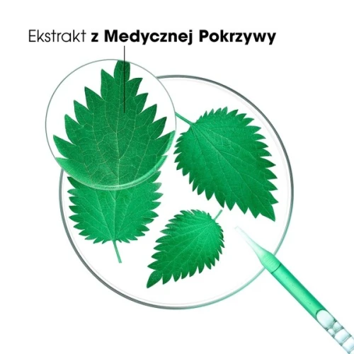 Klorane Pokrzywa Szampon do włosów przetłuszczających się, 200 ml - Odświeża, oczyszcza i redukuje nadmiar sebum - 2