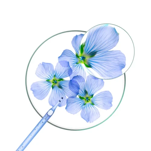 Klorane Len, szampon do włosów cienkich, 400 ml - Zwiększam objętość włosów - 1