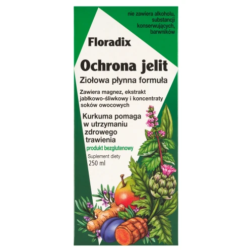 Floradix Ochrona Jelit, płyn 250 ml - Ziołowo–owocowy tonik z magnezem i ekstraktem z kurkumy 