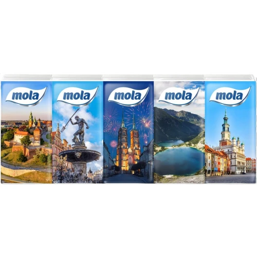 Mola Miasta Chusteczki higieniczne, 10 x 10 sztuk - 4-warstwowe kieszonkowe chusteczki higieniczne 