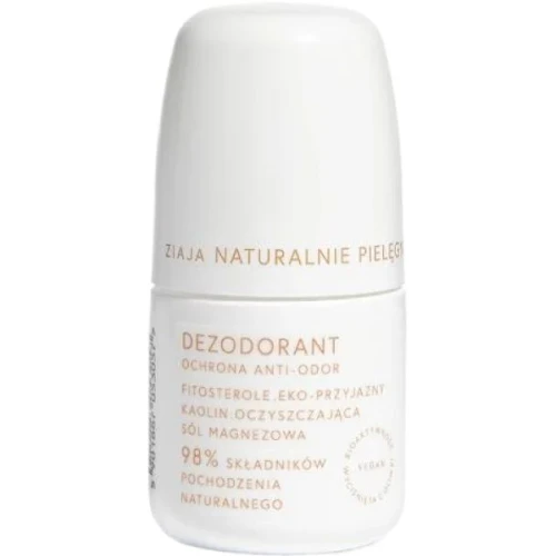 Ziaja Naturalnie Pielęgnujemy Ochrona anti-odor dezodorant, 60 ml - Naturalna ochrona przed nieprzyjemnym zapachem