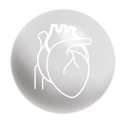 Icon Adamed