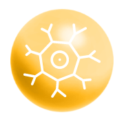 Icon Adamed