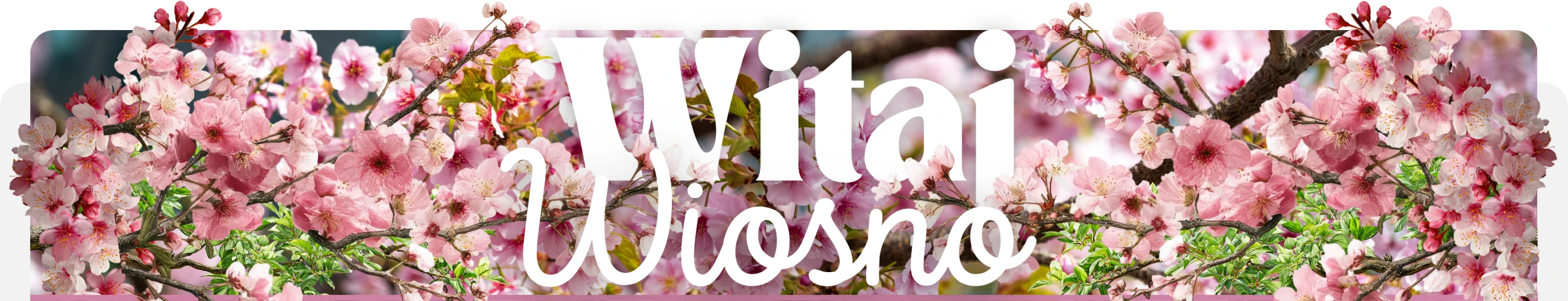 Banner - 